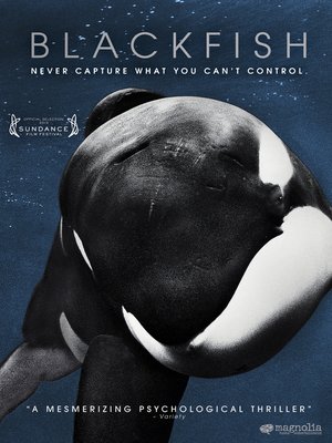 cover image of Blackfish